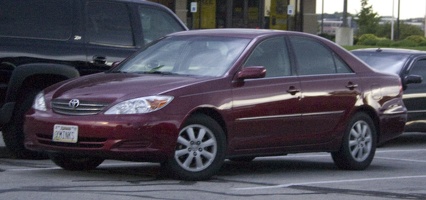 106-3530 3 MINKS.jpg